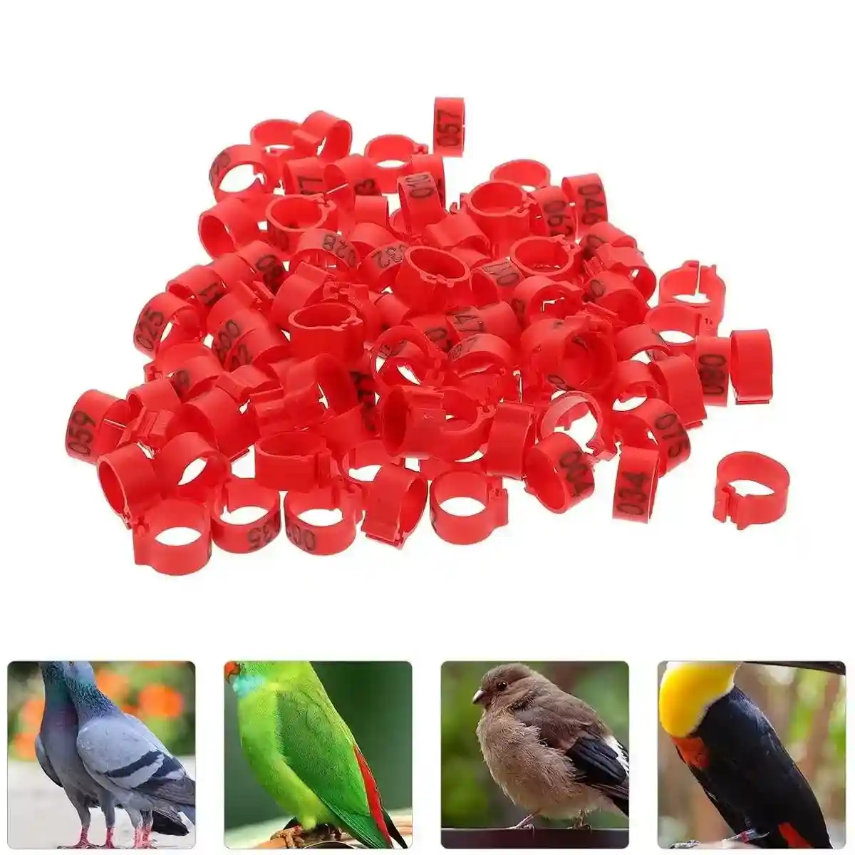 100 Numbered Bird Leg Bands for Poultry - Image 10