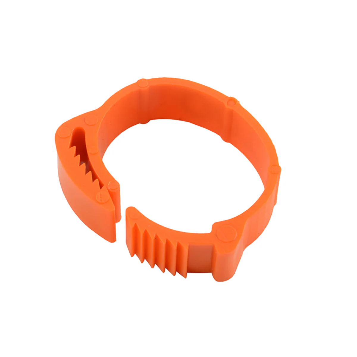 100PCS Adjustable Bird Leg Rings Numbered - Image 22