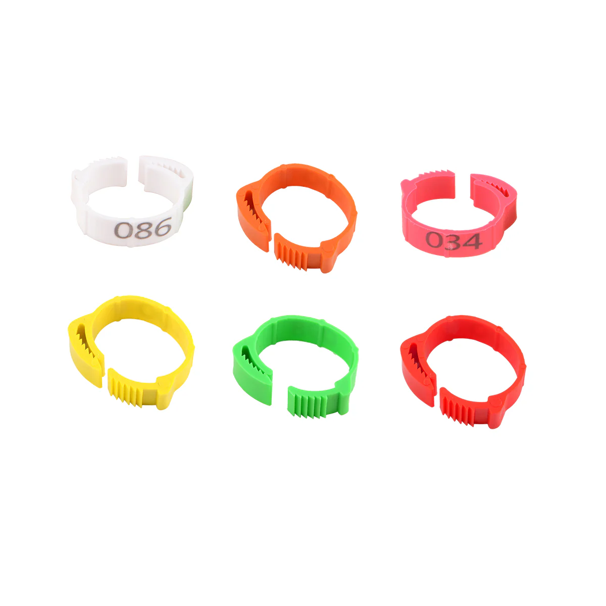 100PCS Adjustable Bird Leg Rings Numbered - Image 3