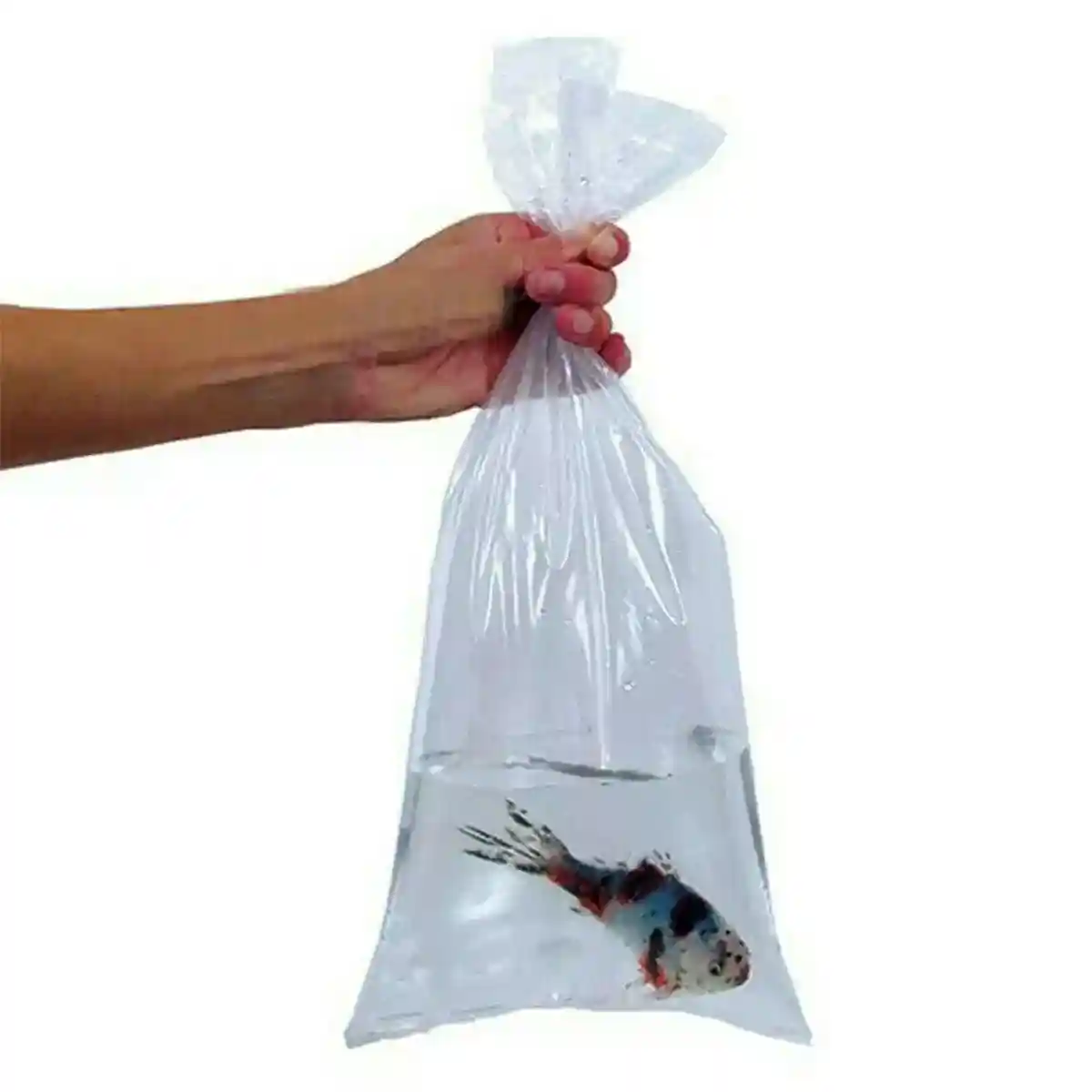 100PCS Aquarium Fish Breathing Bags Breather Bags Transport Long Life Plastic - Image 10