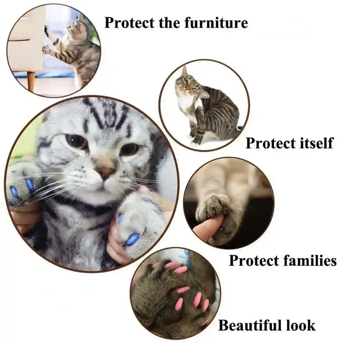 100pcs Cat Nail Caps Anti-Scratch Soft Claw Protectors for All Sizes - Image 4