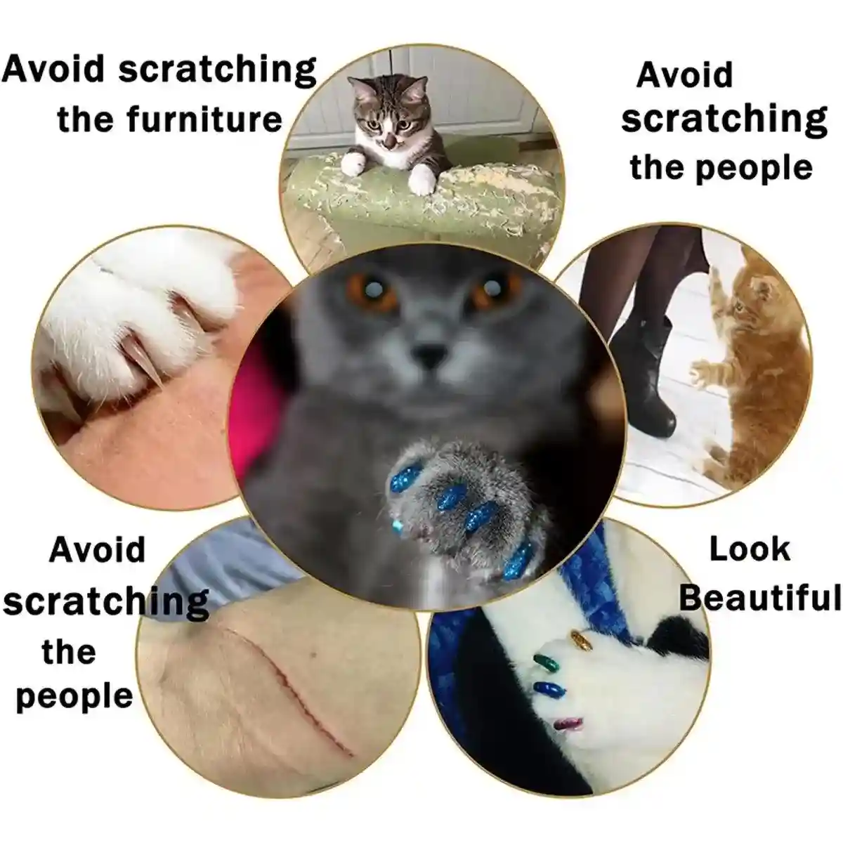100pcs Cat Nail Caps Anti-Scratch Soft Claw Protectors for All Sizes - Image 5