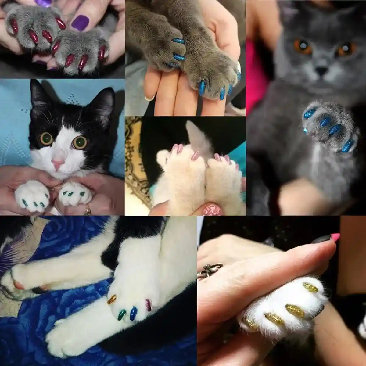 100pcs Cat Nail Caps Anti-Scratch Soft Claw Protectors for All Sizes - Image 6