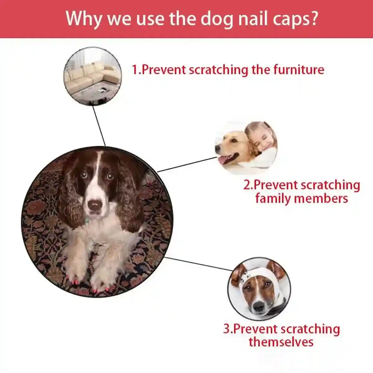 100pcs Cat Nail Caps Anti-Scratch Soft Claw Protectors for All Sizes - Image 8