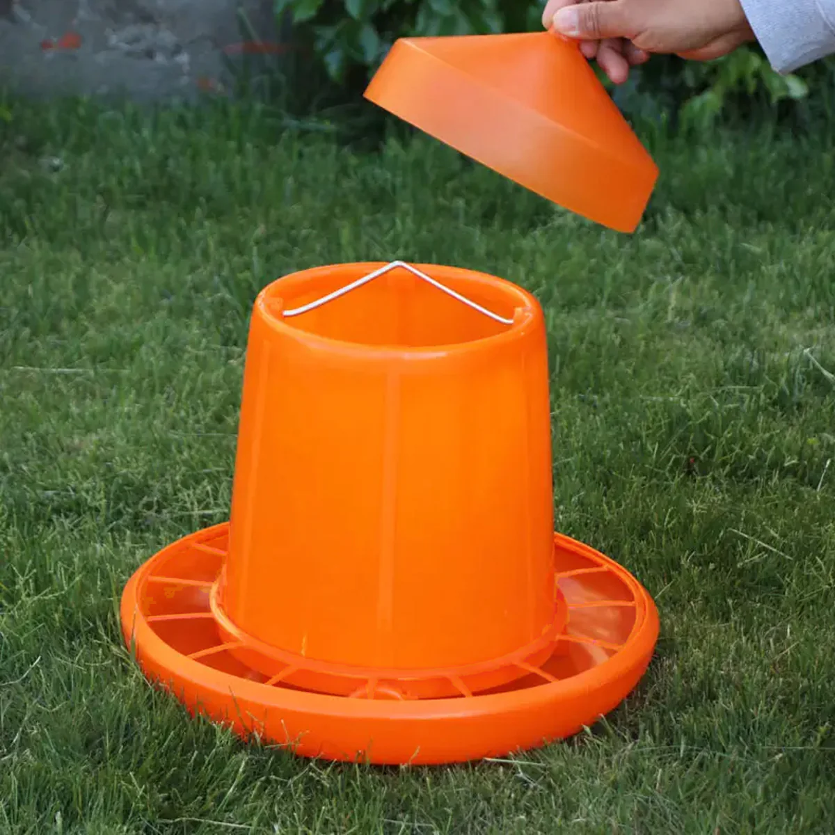 10KG Chicken Feeder Pail With Steel Handle - Image 8