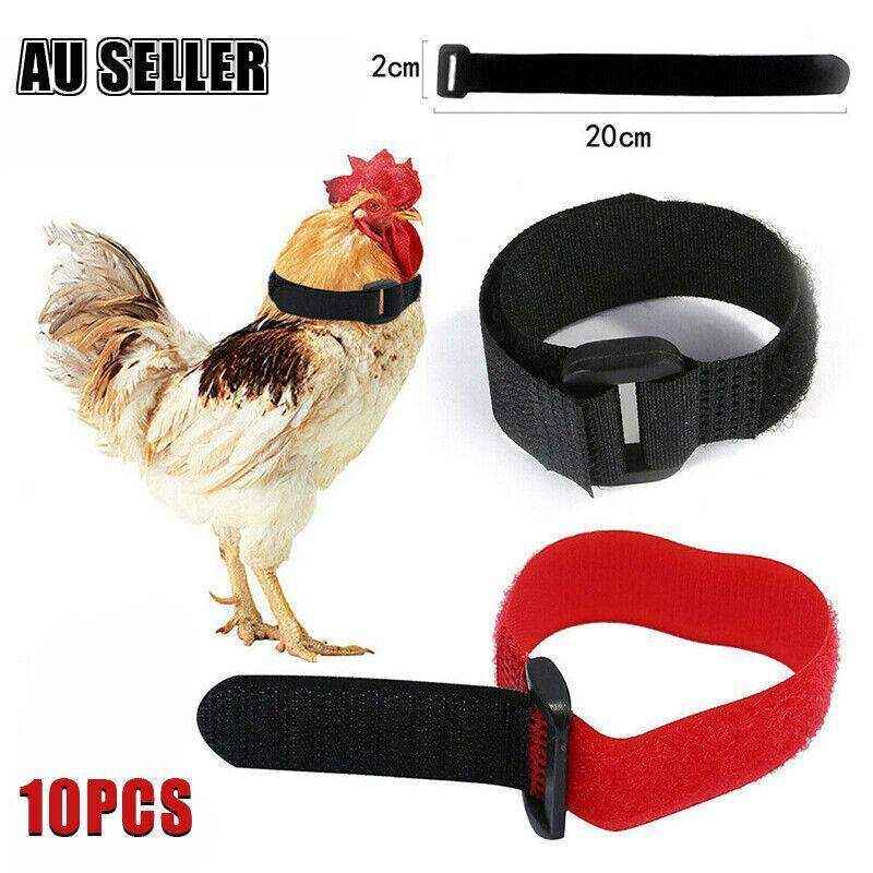 10pcs Chicken Neck Belt Nylon 2 Colours - Image 14