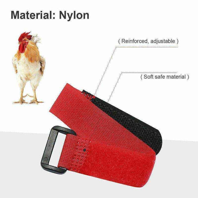 10pcs Chicken Neck Belt Nylon 2 Colours - Image 4