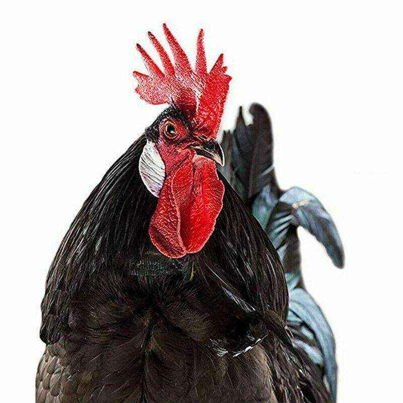 10pcs Chicken Neck Belt Nylon 2 Colours - Image 7