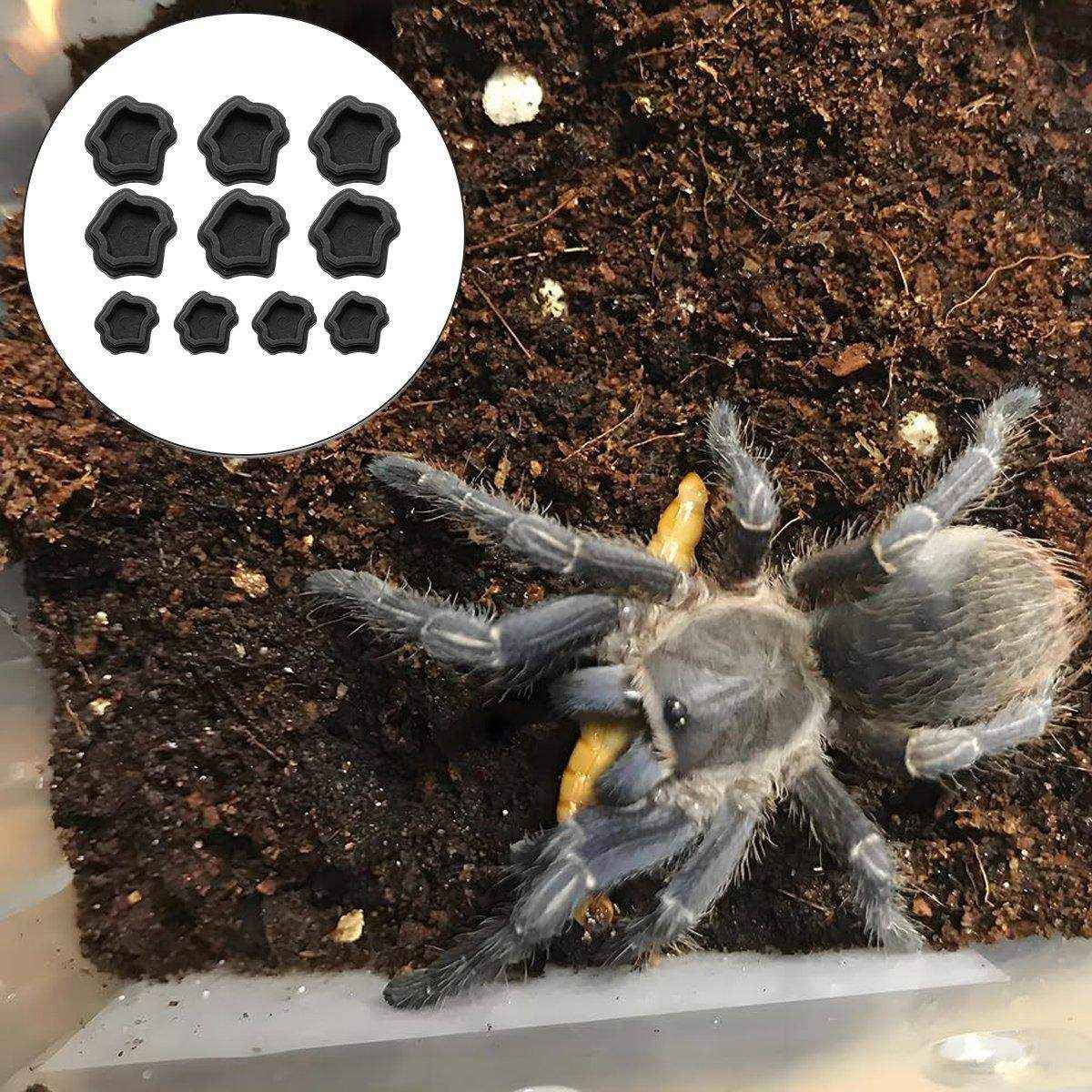 10pcs Reptile Spider Water Basin Resin Bowls Small Pet Feeder Reptile Water Sink - Image 10