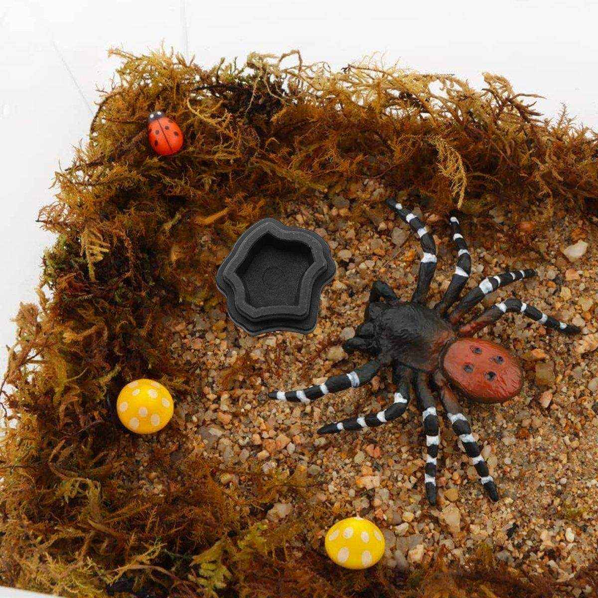 10pcs Reptile Spider Water Basin Resin Bowls Small Pet Feeder Reptile Water Sink - Image 8