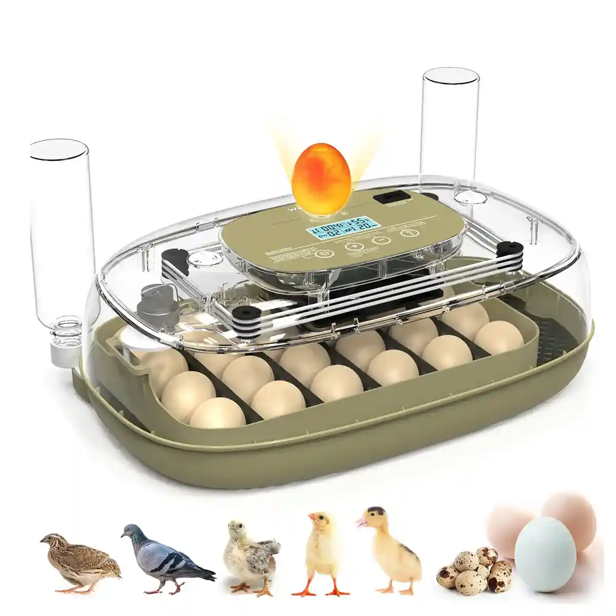 24 Egg Incubator Auto Turn Humidity Display Water Refill - Image 11