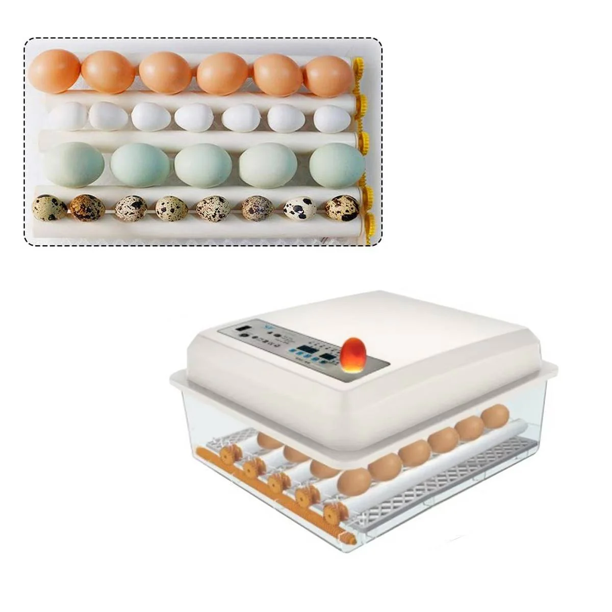 24 Eggs Intelligent Egg Incubator With Automatic Turning - Image 10