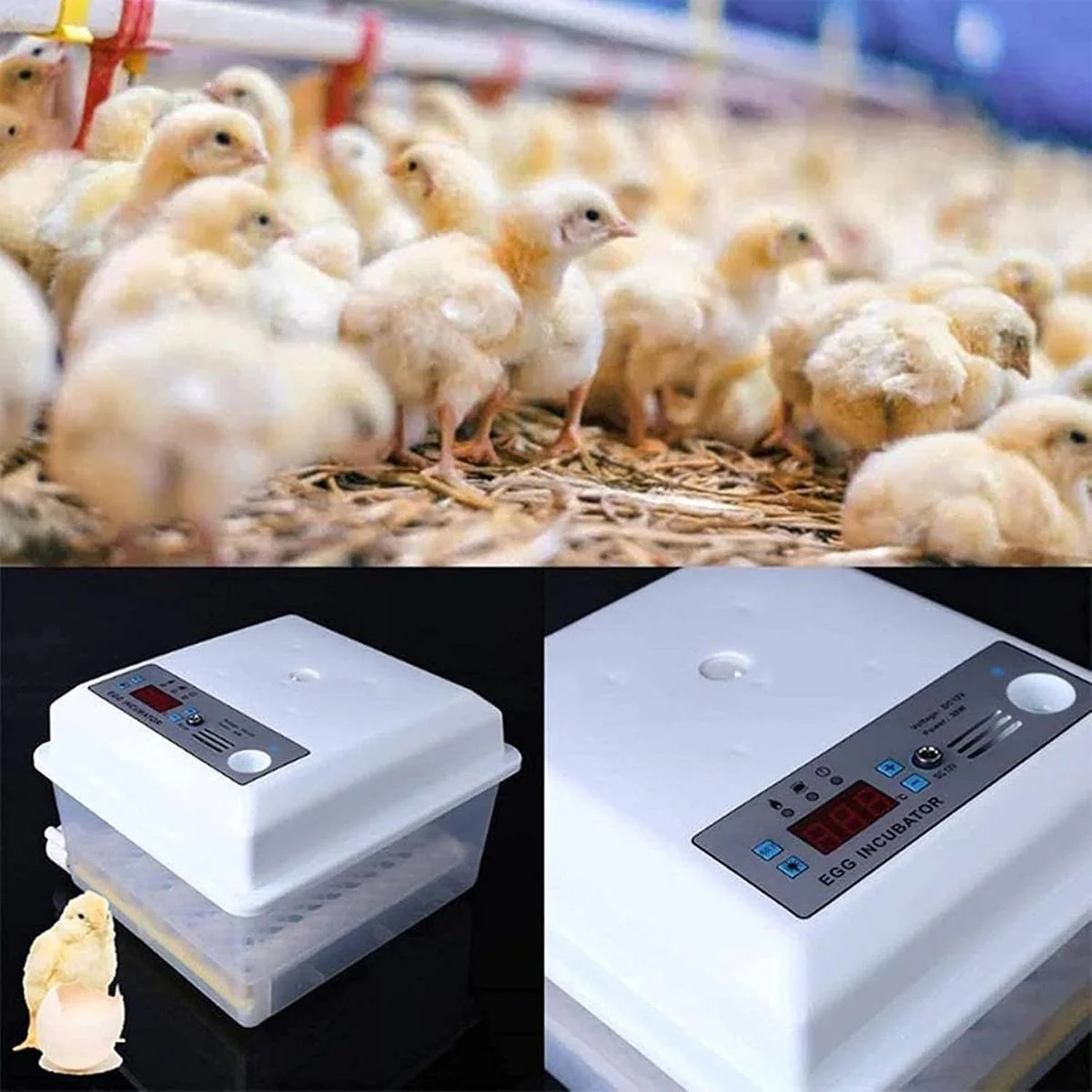 24 Eggs Intelligent Egg Incubator With Automatic Turning - Image 11