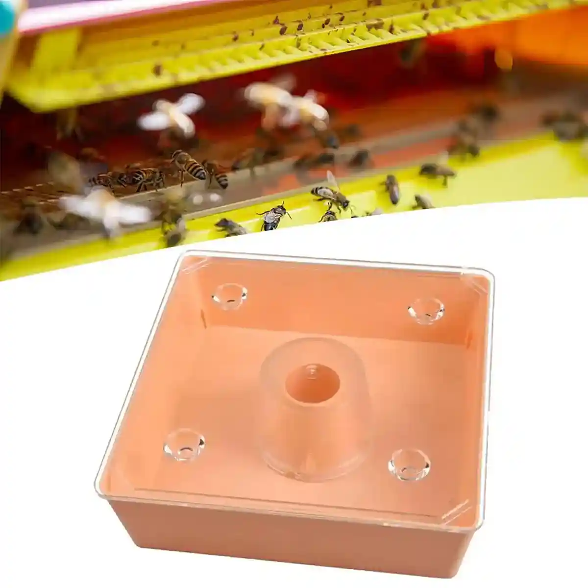 2PCS Square Hive Bee Feeder 1.6L Leakproof Acrylic Design - Image 5