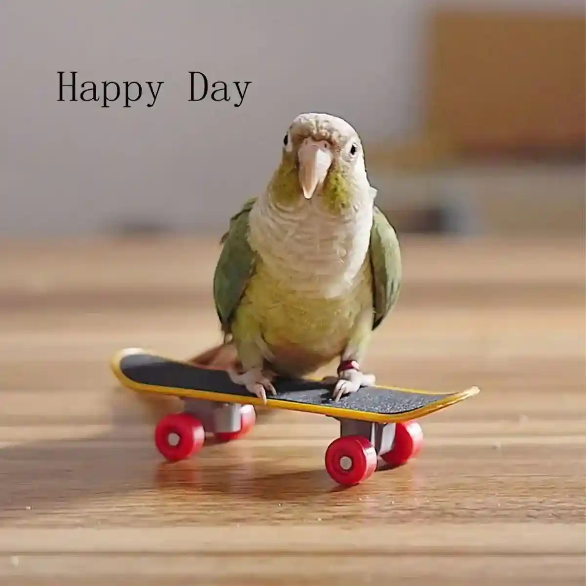 2pcs Parrot Finger Skateboards Set Interactive Mini Scooter for Pets - Image 11