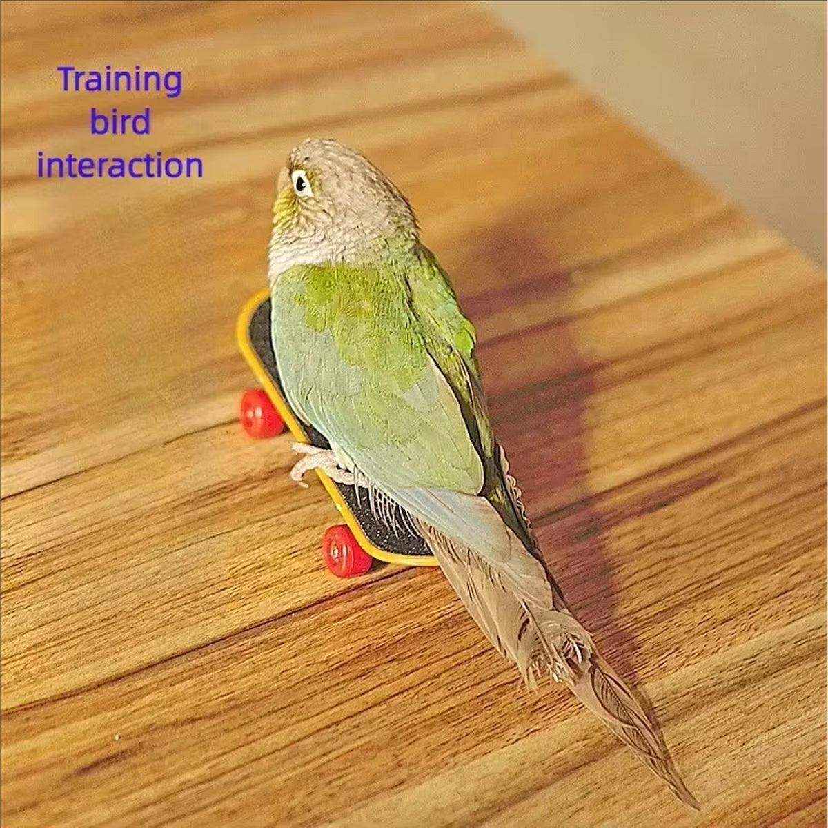 2pcs Parrot Finger Skateboards Set Interactive Mini Scooter for Pets - Image 8