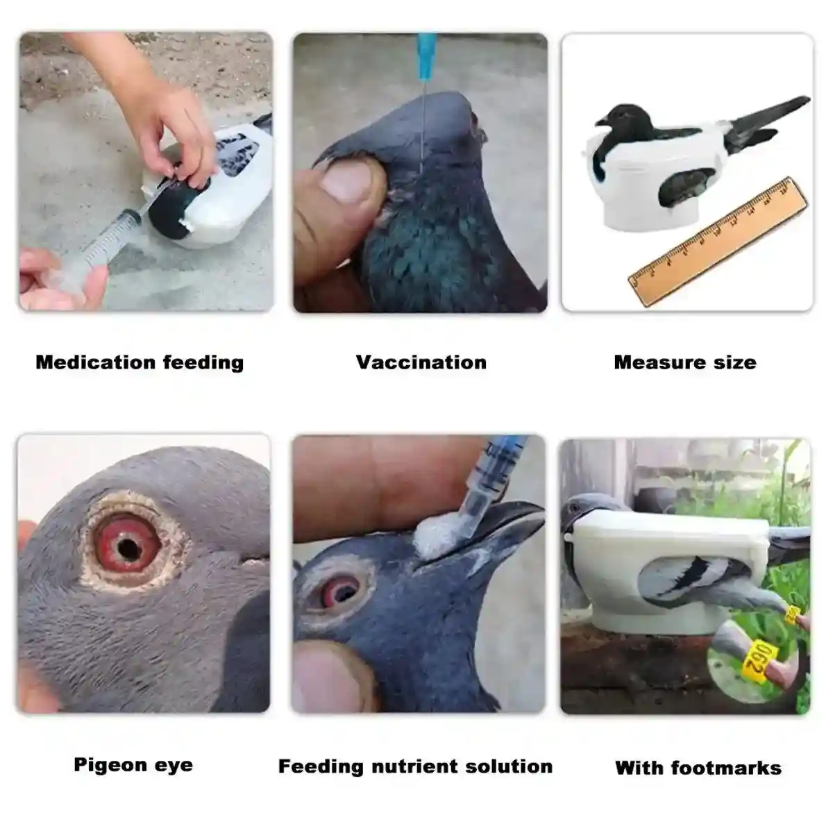 2X Practical Plastic Racing Pigeon Holder Fixed Frame Rack Bird Medicine Feeder - Image 12