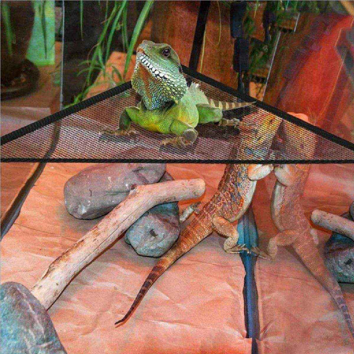 2x Reptile Hammock for Small Large Bearded Dragon Lizard Reptile Snakes Black - Image 9