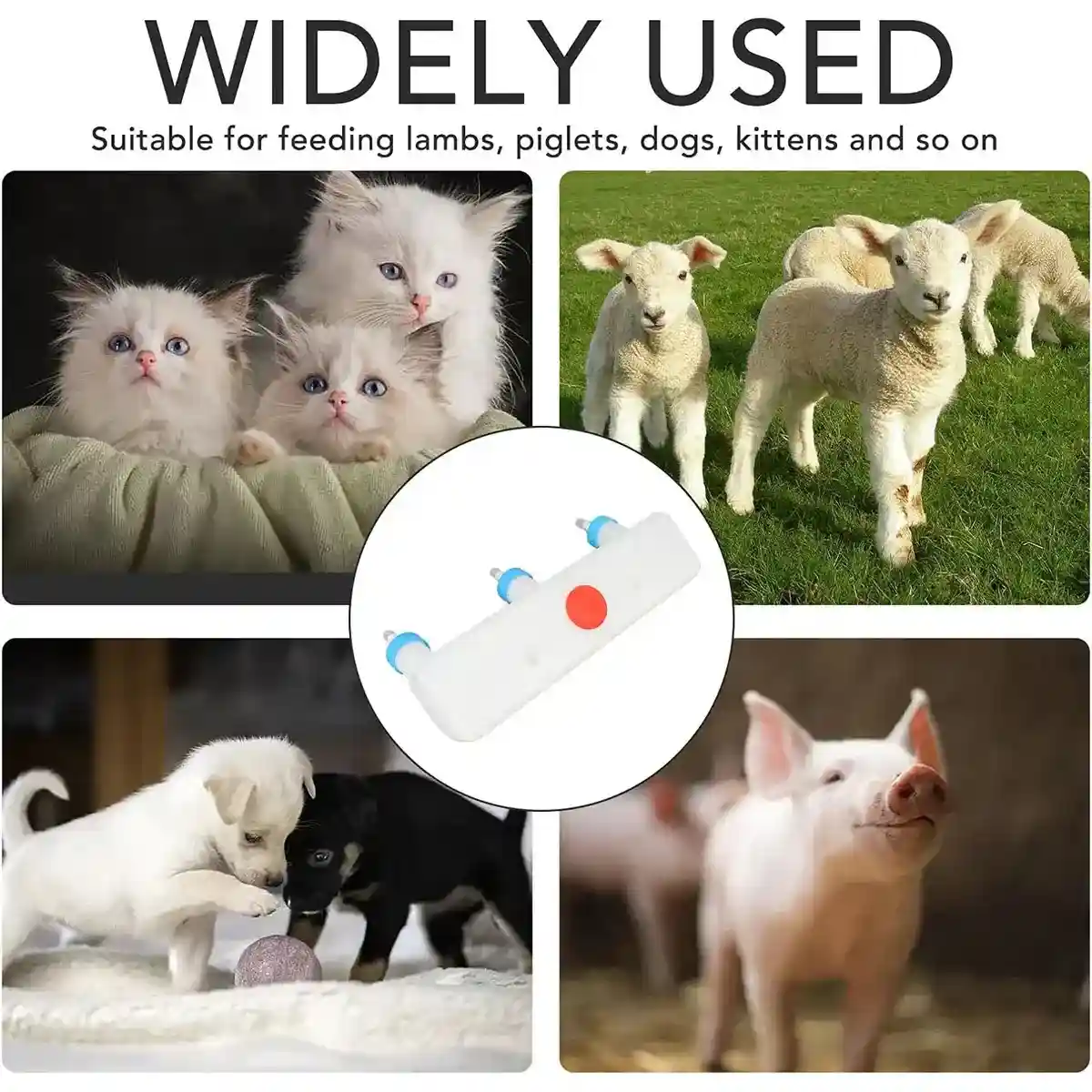 Triple Nipple Lamb Piglet Feeder 3-Teat Nursing Bottle 1.5L - Image 9