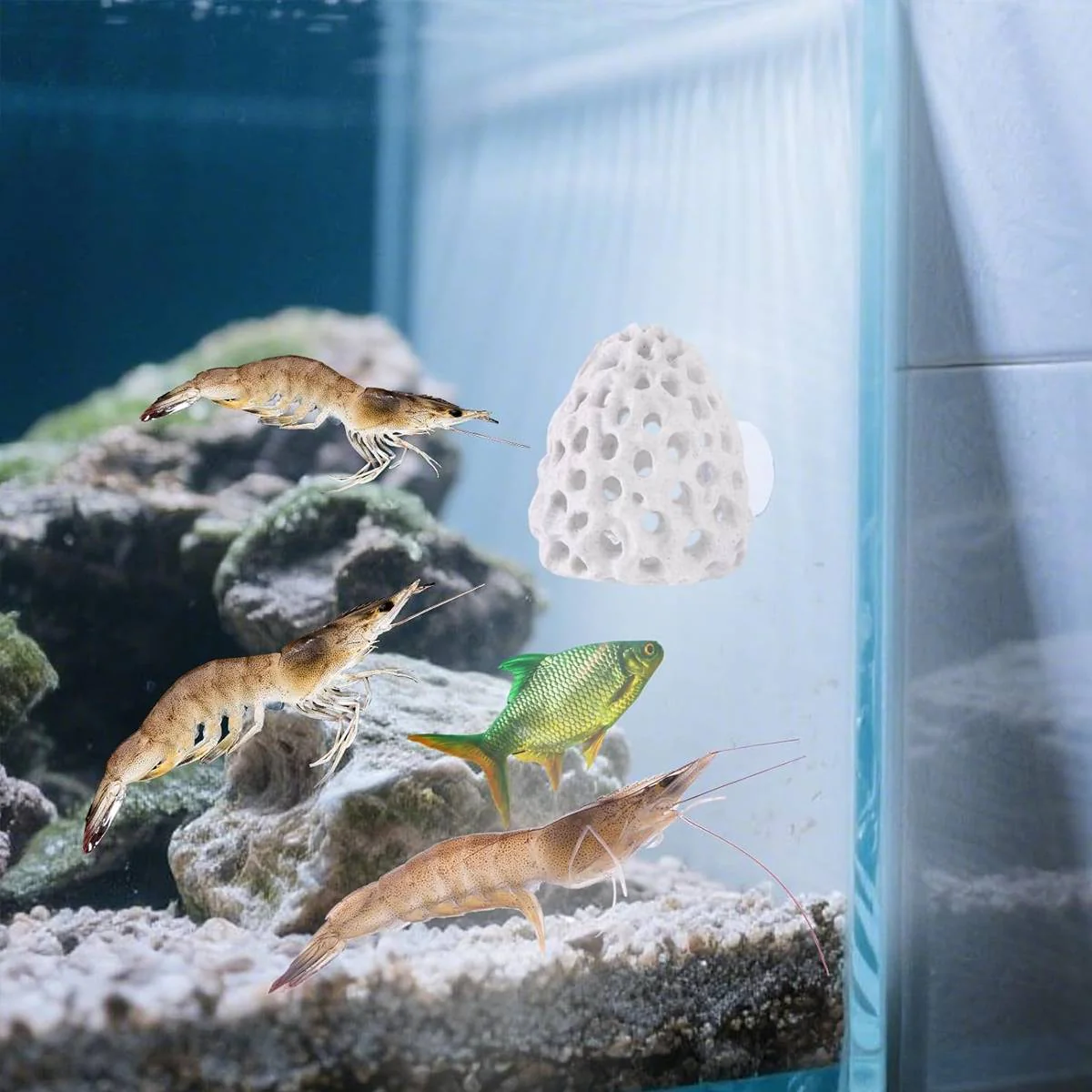 3D Printed Shrimp House Aquarium Shelter - Image 10
