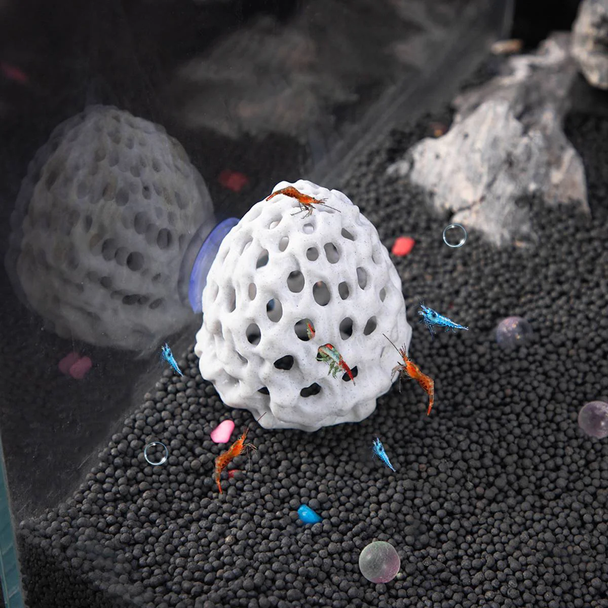 3D Printed Shrimp House Aquarium Shelter - Image 13