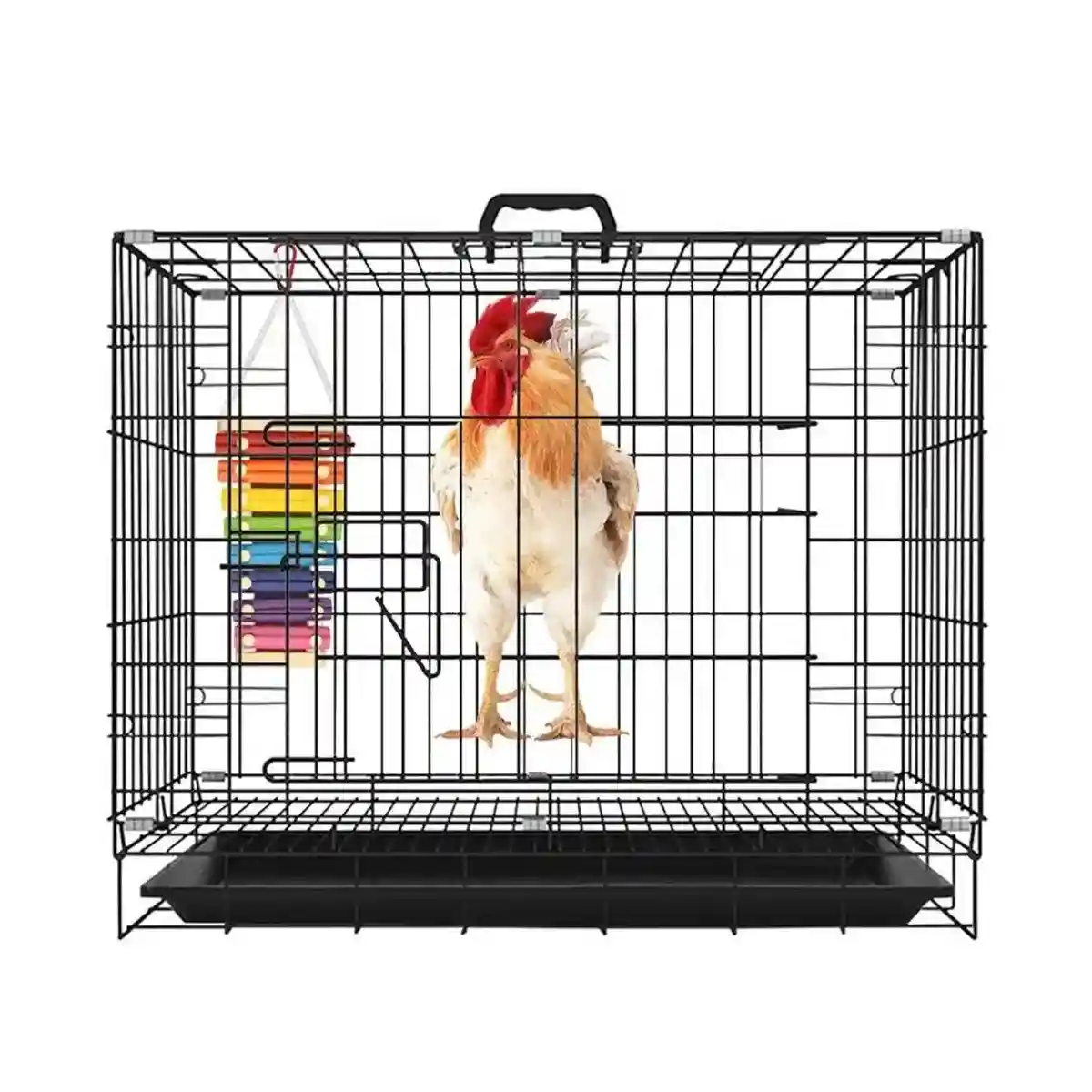 7-Tone Hanging Bird Xylophone Musical Toy for Chickens & Parrots - Image 5