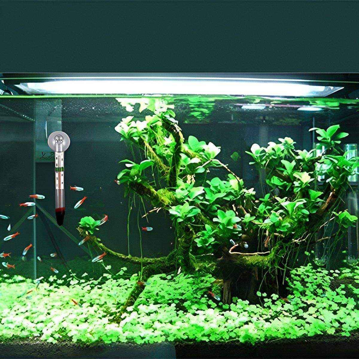 Accurate Fish Tank Thermometer for Optimal Aquatic Environment - Image 12
