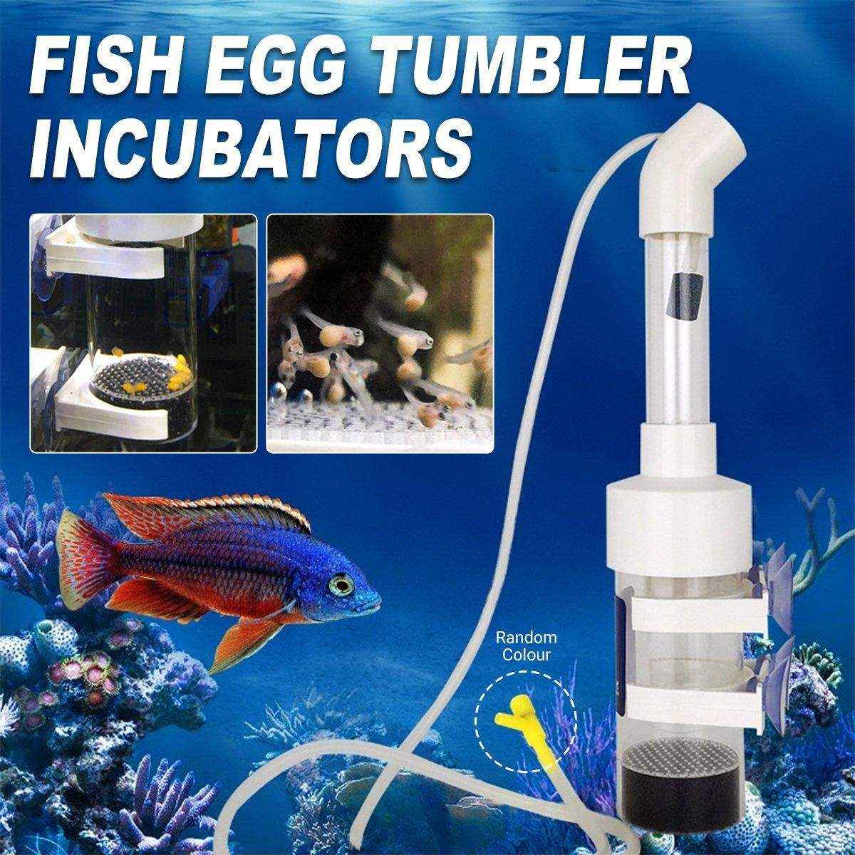 Transparent Aquarium Fish Breeding Box with Versatile Features