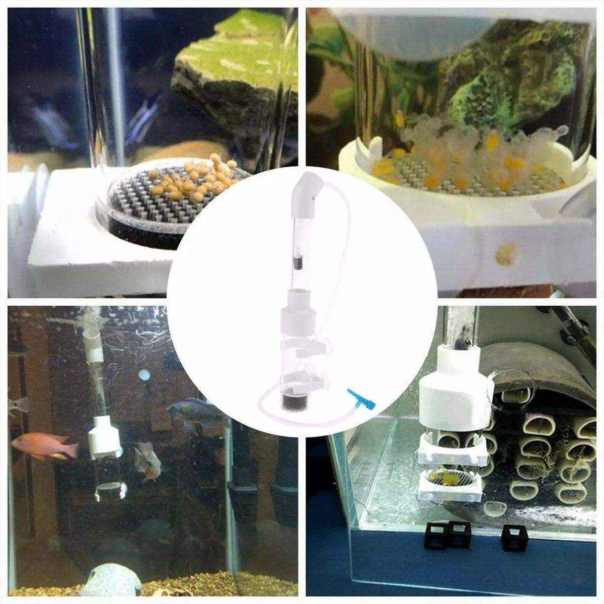 Transparent Aquarium Fish Breeding Box with Versatile Features - Image 11