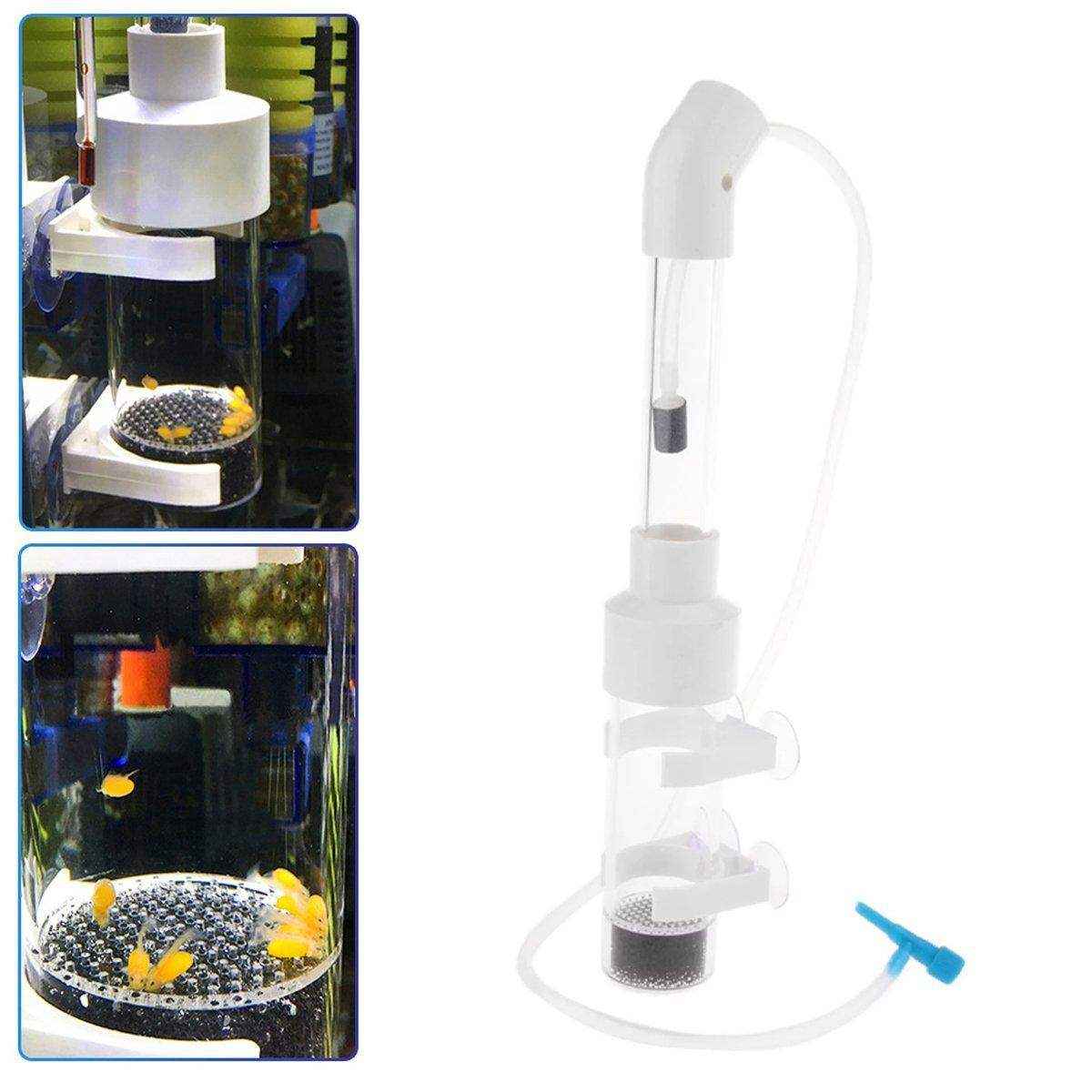 Transparent Aquarium Fish Breeding Box with Versatile Features - Image 7