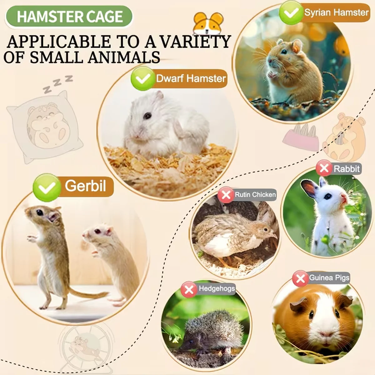 Acrylic Hamster Cage With Wheel And Accessories - Image 9