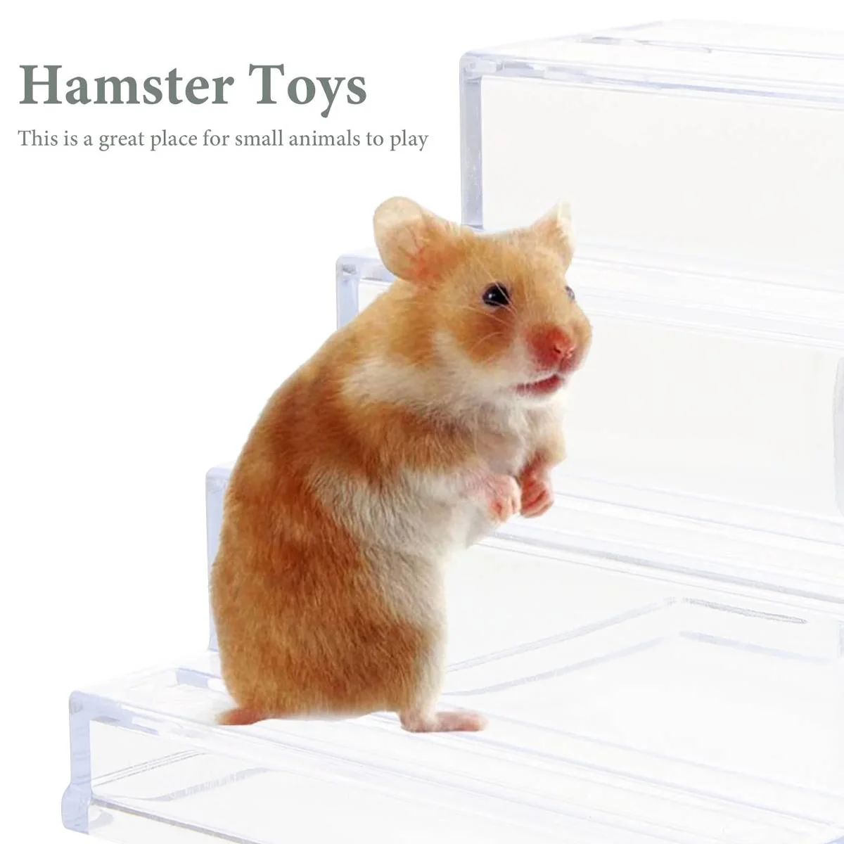 Acrylic Hamster Ladder Hideout House Clear Climbing Den - Image 12