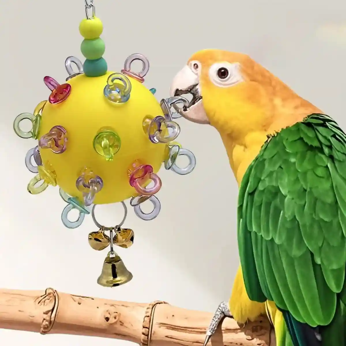 Durable Acrylic Bird Toy With Bells & Rings For Small Birds - Image 4