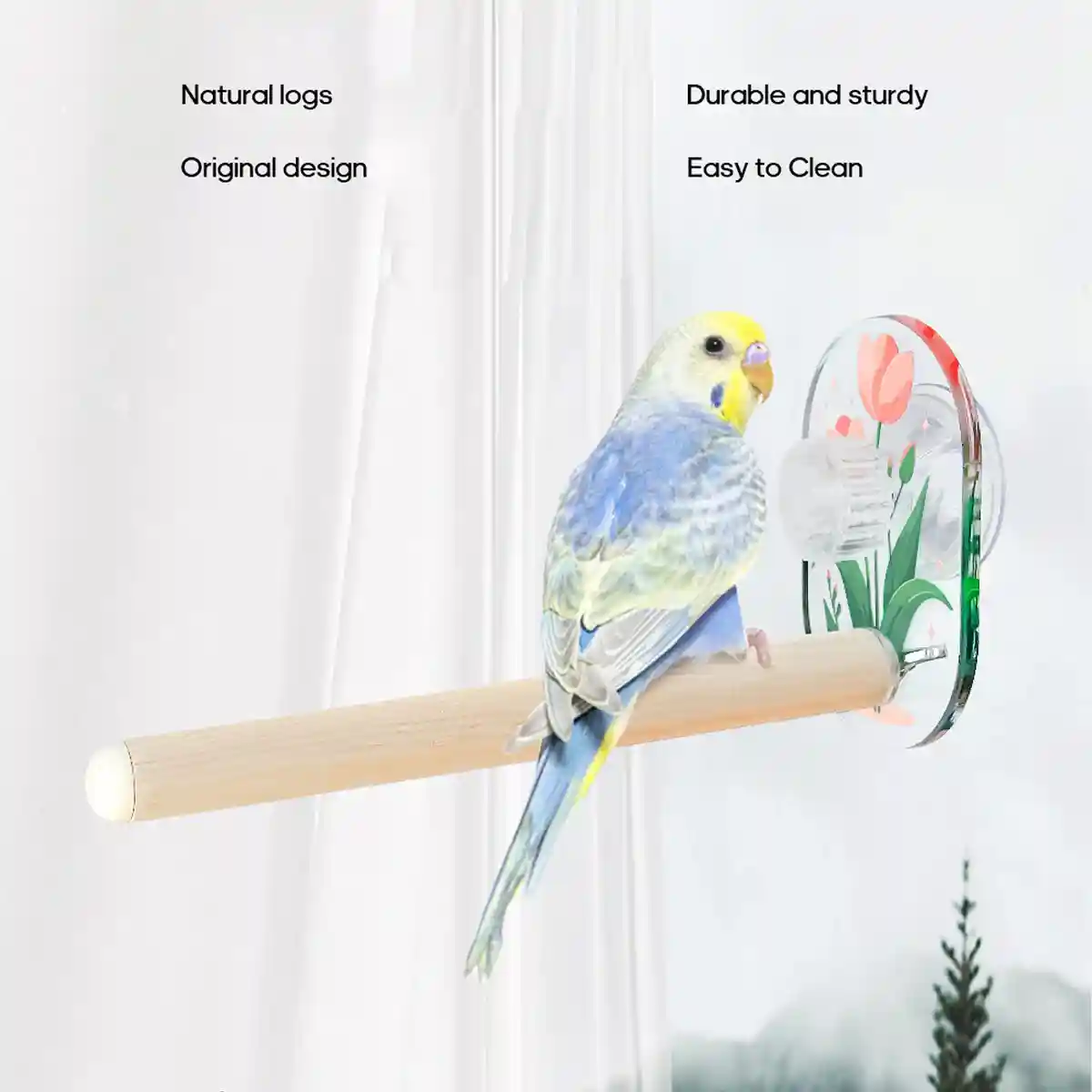 Acrylic Suction Cup Bird Stand - Image 4