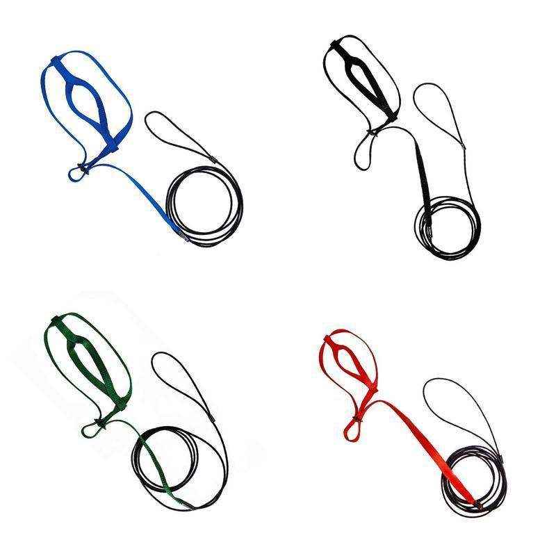 Outdoor Parrot Harness with Adjustable Bird Leash for Safe Flying - Image 2
