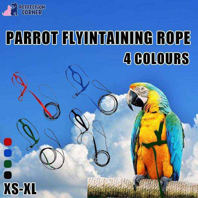 Outdoor Parrot Harness with Adjustable Bird Leash for Safe Flying - Image 3