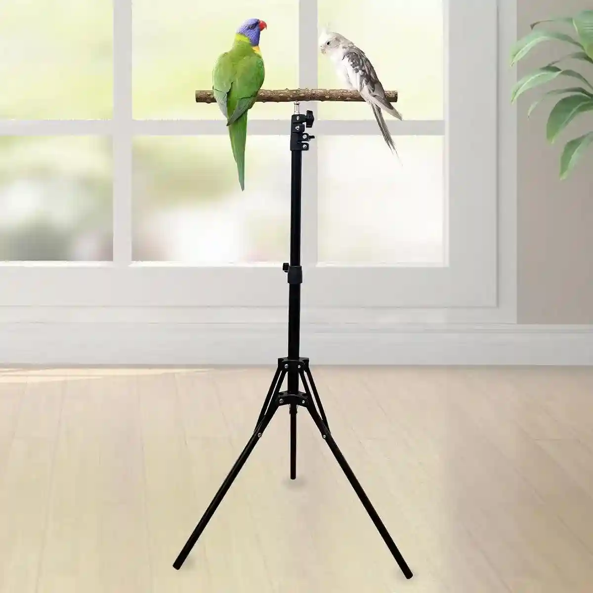 Adjustable Bird Perch Stand Foldable Training & Play Stand for Parrots & Birds - Image 11