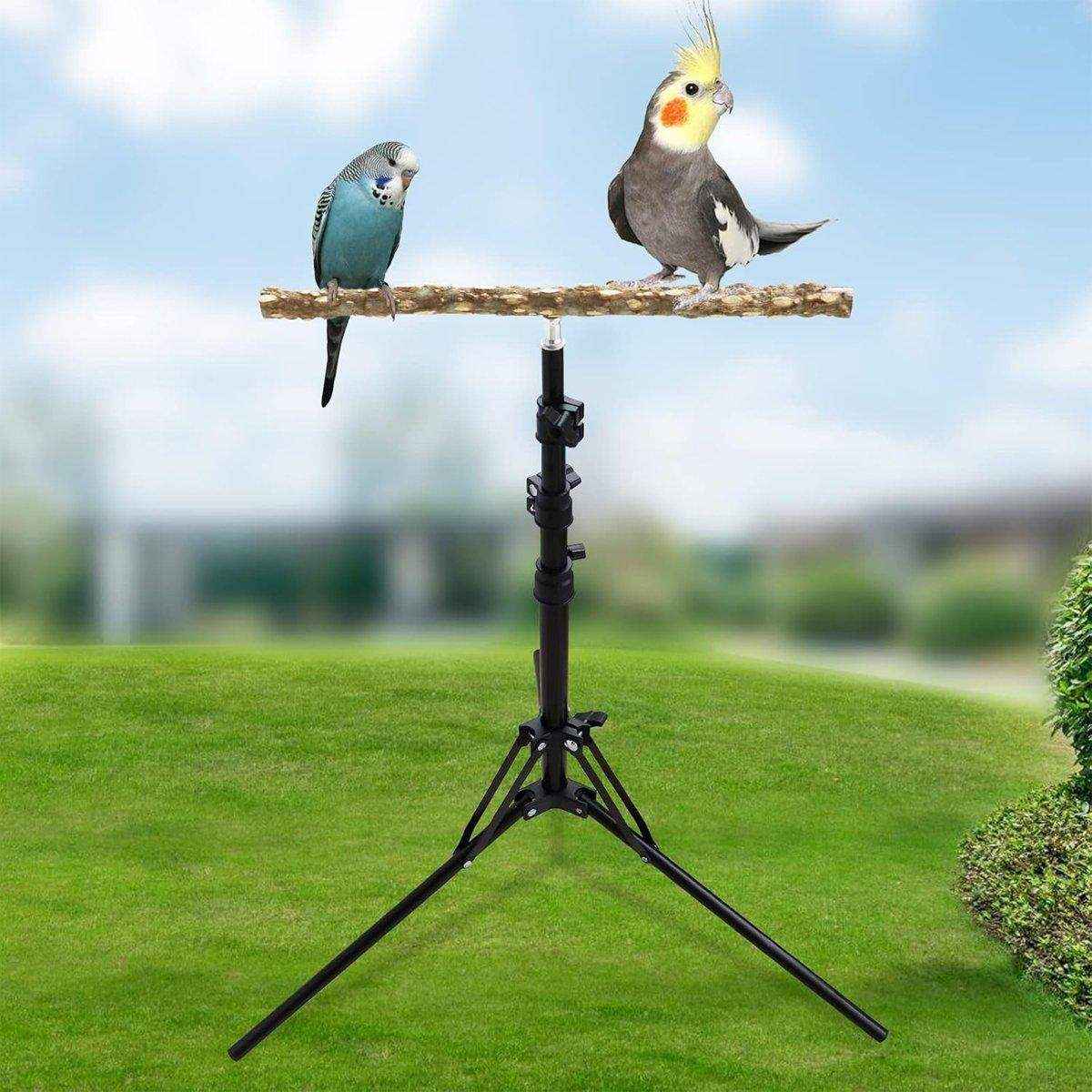 Adjustable Bird Perch Stand Foldable Training & Play Stand for Parrots & Birds - Image 12