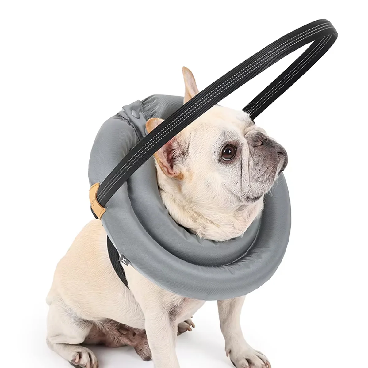 Adjustable Blind Dog Harness With Halo Collar - Image 9