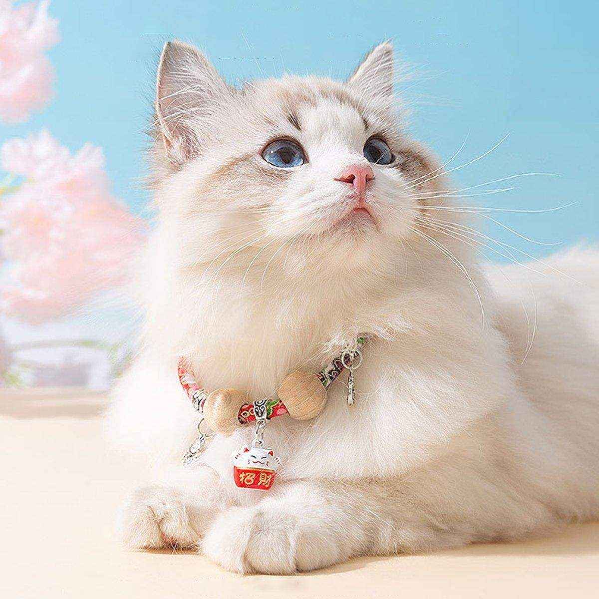 Pet Bell Necklace Designer Cat Flea Collar Dog Insect Repellent - Image 4