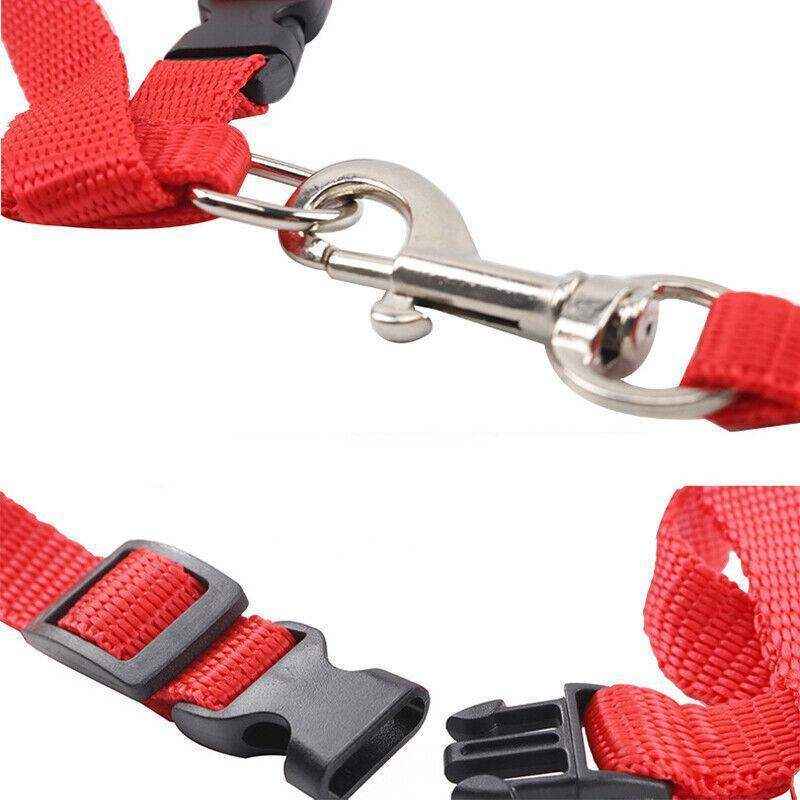 Adjustable Nylon Pet Cat Harnesses 6 Colours - Image 6