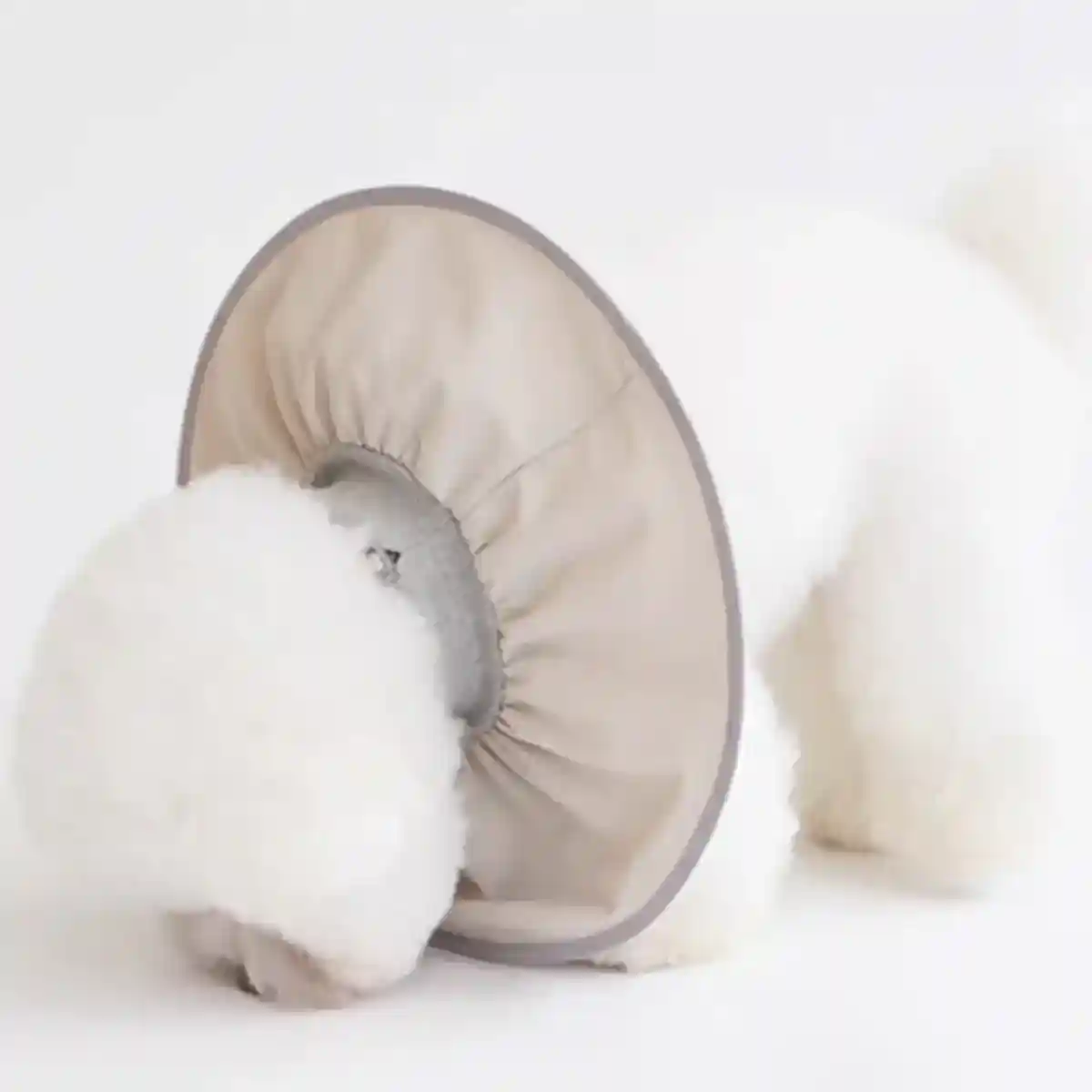 Adjustable Cat Recovery Collar for Grooming and Licking Prevention - Image 10