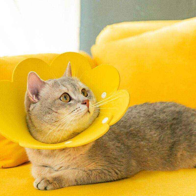 Adjustable Cat Elizabethan Collar Soft Cat Recovery Collar for Healing - Image 10