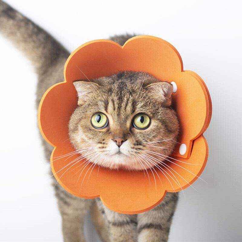 Adjustable Cat Elizabethan Collar Soft Cat Recovery Collar for Healing - Image 11