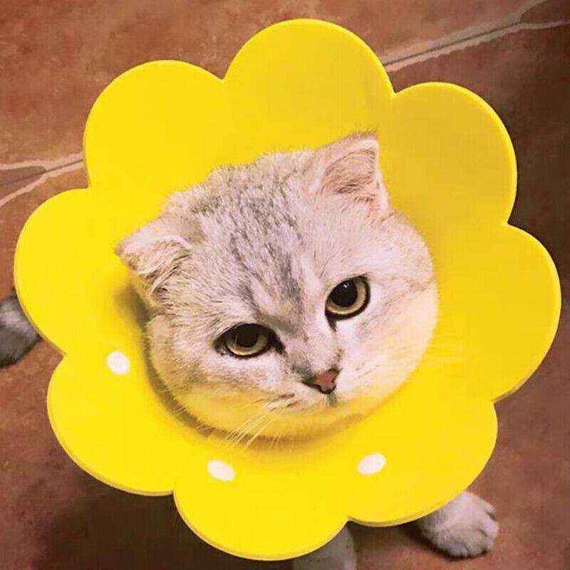 Adjustable Cat Elizabethan Collar Soft Cat Recovery Collar for Healing - Image 12