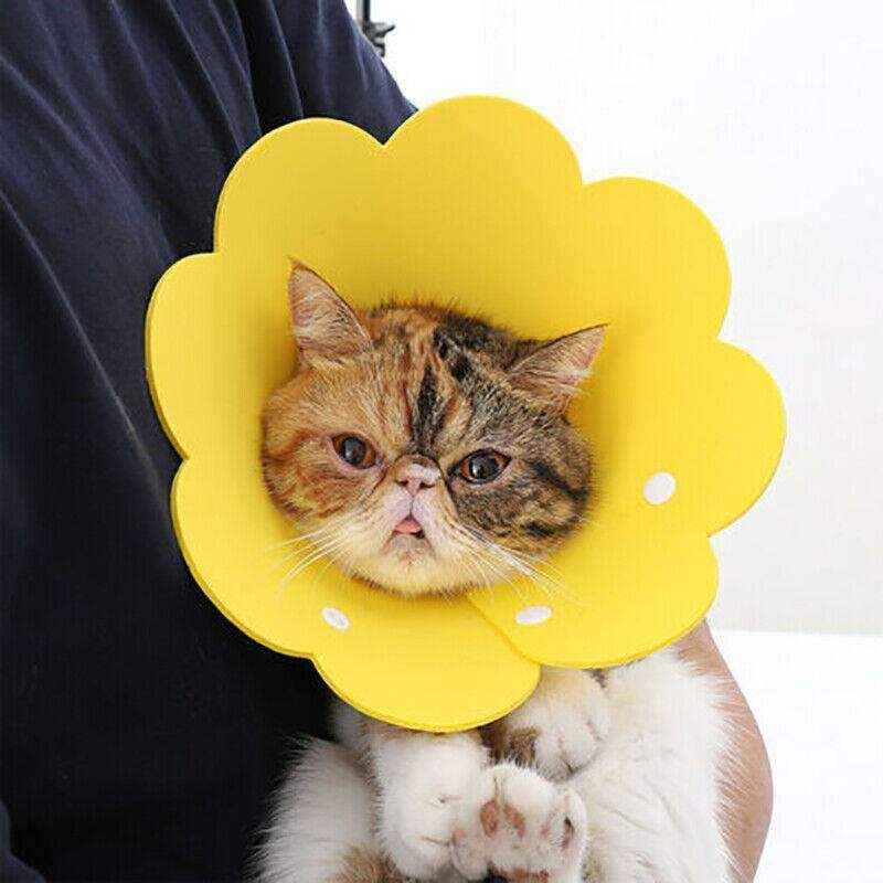 Adjustable Cat Elizabethan Collar Soft Cat Recovery Collar for Healing - Image 5