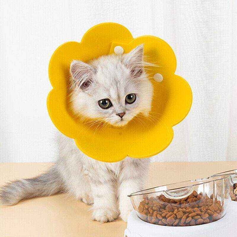 Adjustable Cat Elizabethan Collar Soft Cat Recovery Collar for Healing - Image 6