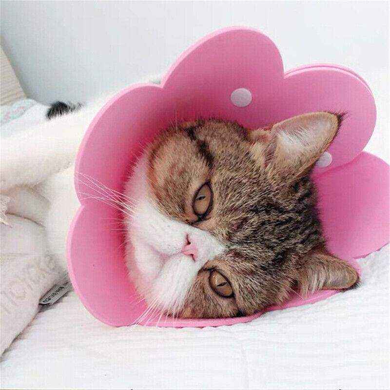 Adjustable Cat Elizabethan Collar Soft Cat Recovery Collar for Healing - Image 7