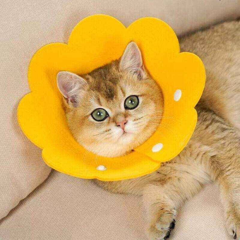 Adjustable Cat Elizabethan Collar Soft Cat Recovery Collar for Healing - Image 8