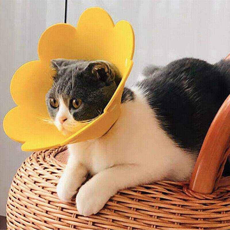 Adjustable Cat Elizabethan Collar Soft Cat Recovery Collar for Healing - Image 9
